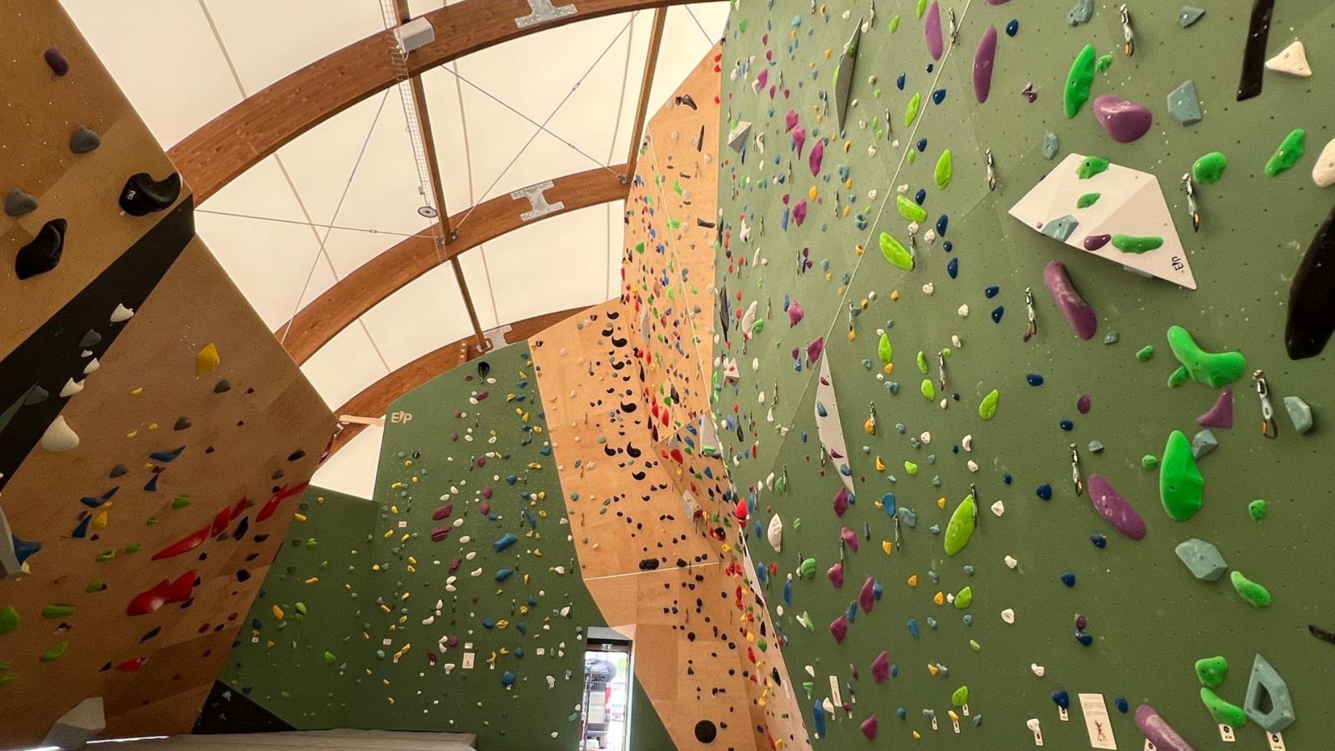 Roped climbing and bouldering walls inside the gym