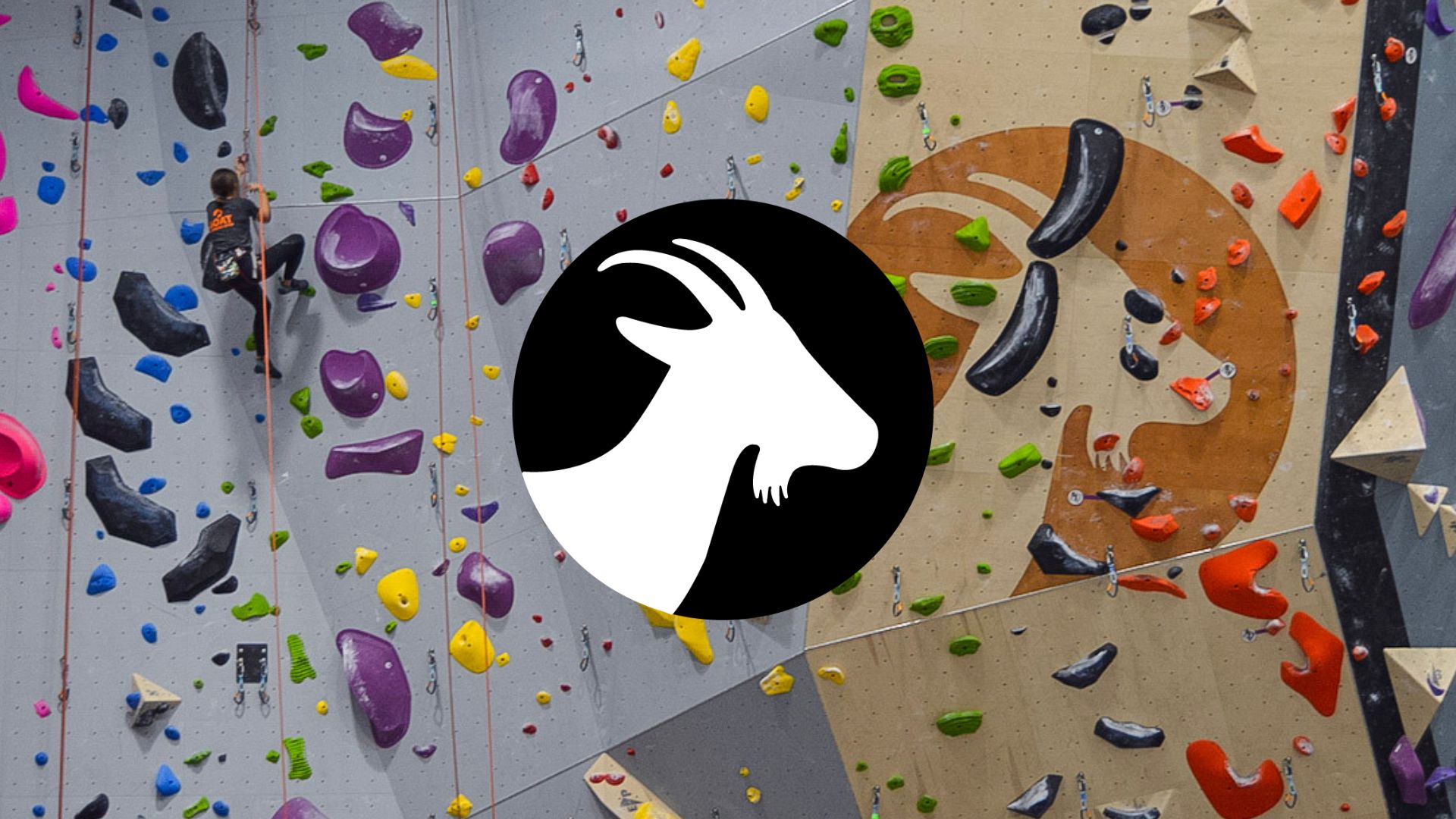 Coaching Opportunity at Goat Climbing Gym – Climbing Jobs Weekly 2025 August 7