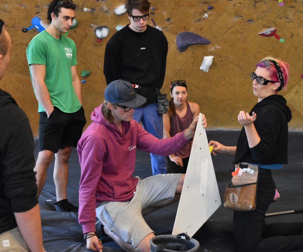 image of setters with volume