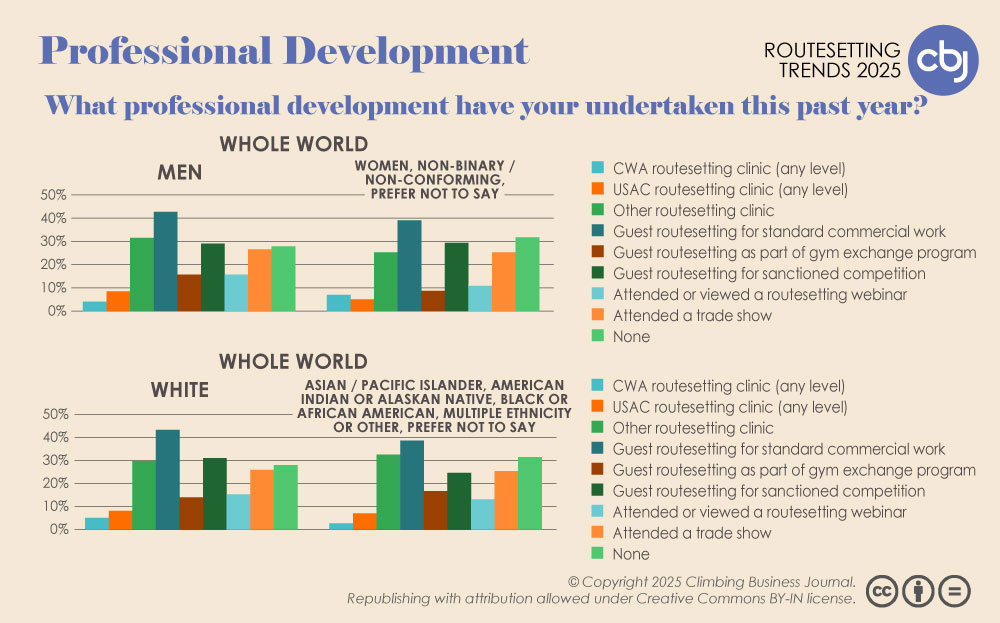 Professional Development Undertaken by Gender and Race/Ethnicity