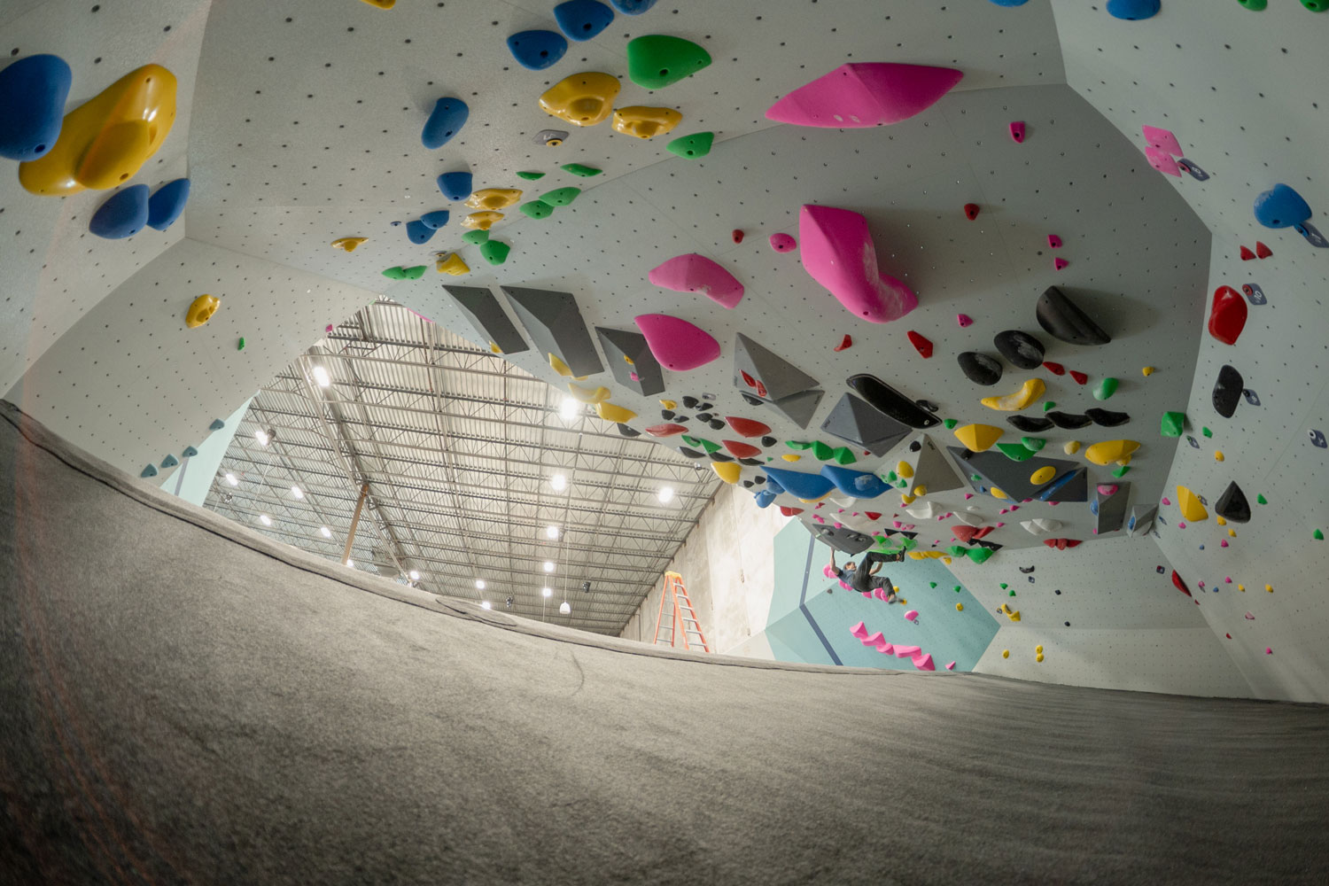 movement fishtown image