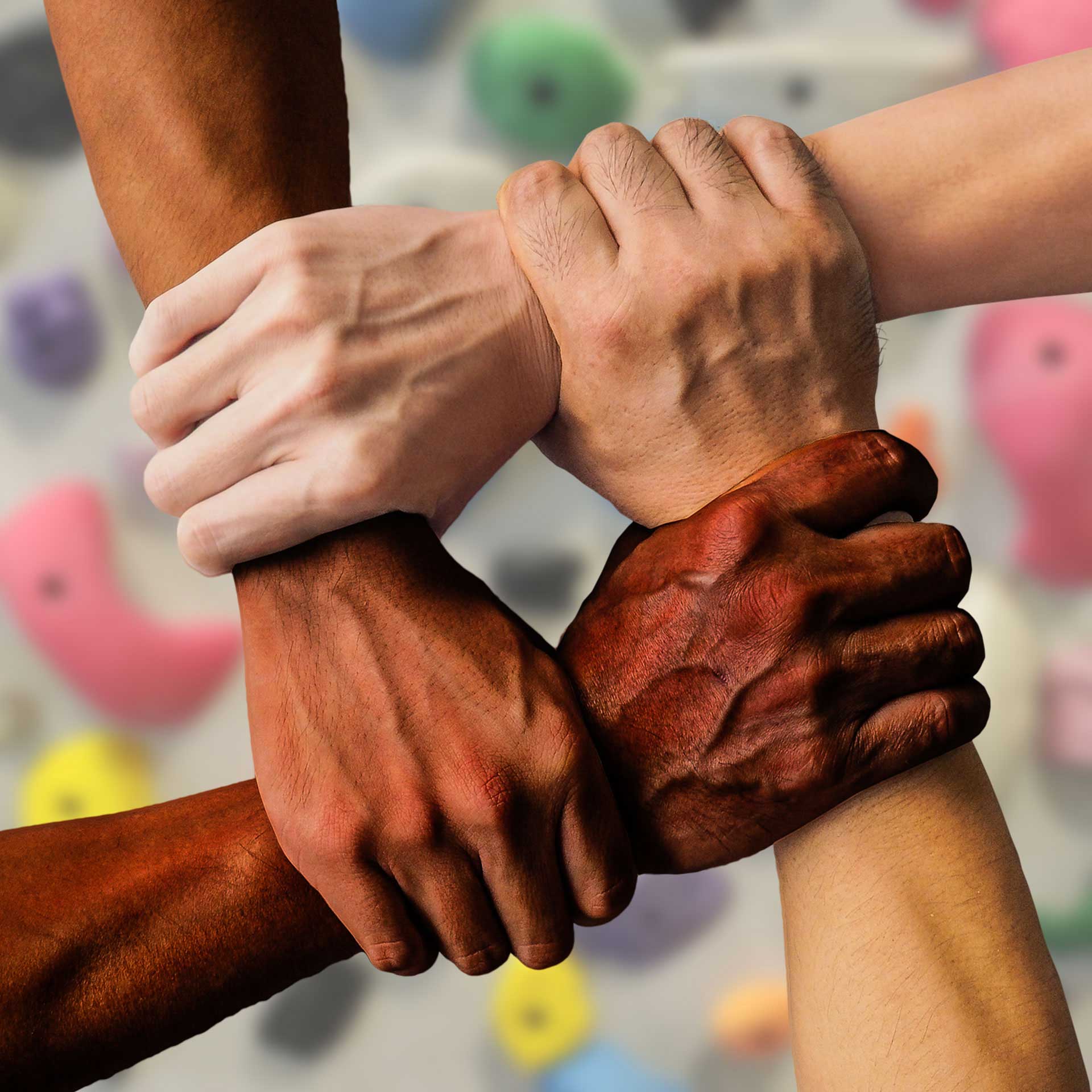 Hands linked together in front of a climbing wall