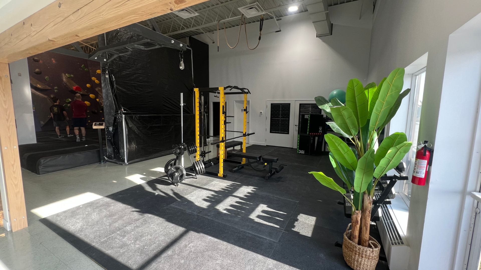 A weightlifting station at the gym