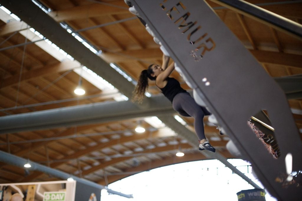 lemur board image