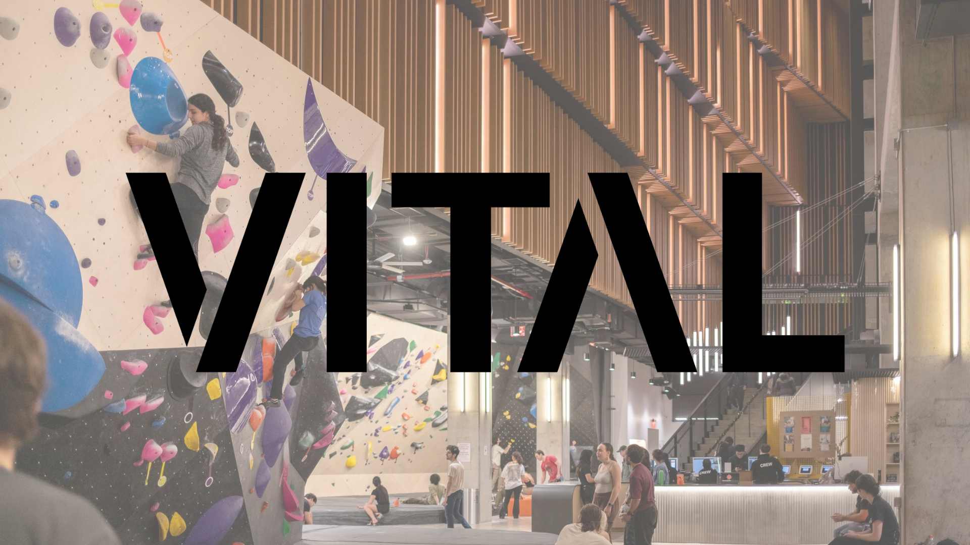 Marketing and Community Manager Position at VITAL – Climbing Jobs Weekly 2026 July 16
