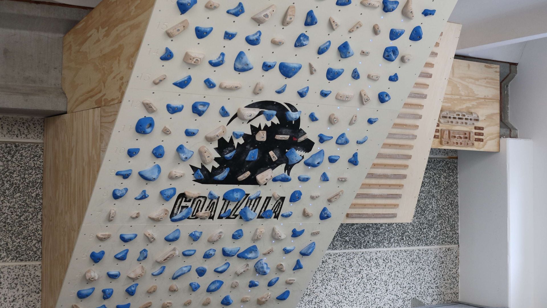 Training boards and hangboards at Goatzilla