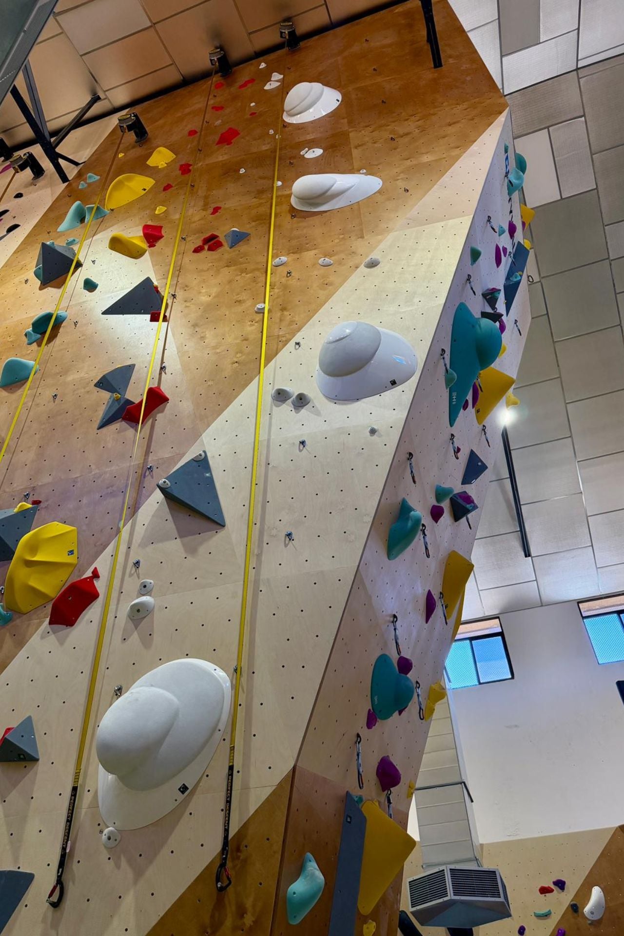 Another climbing structure inside the Hytasa facility