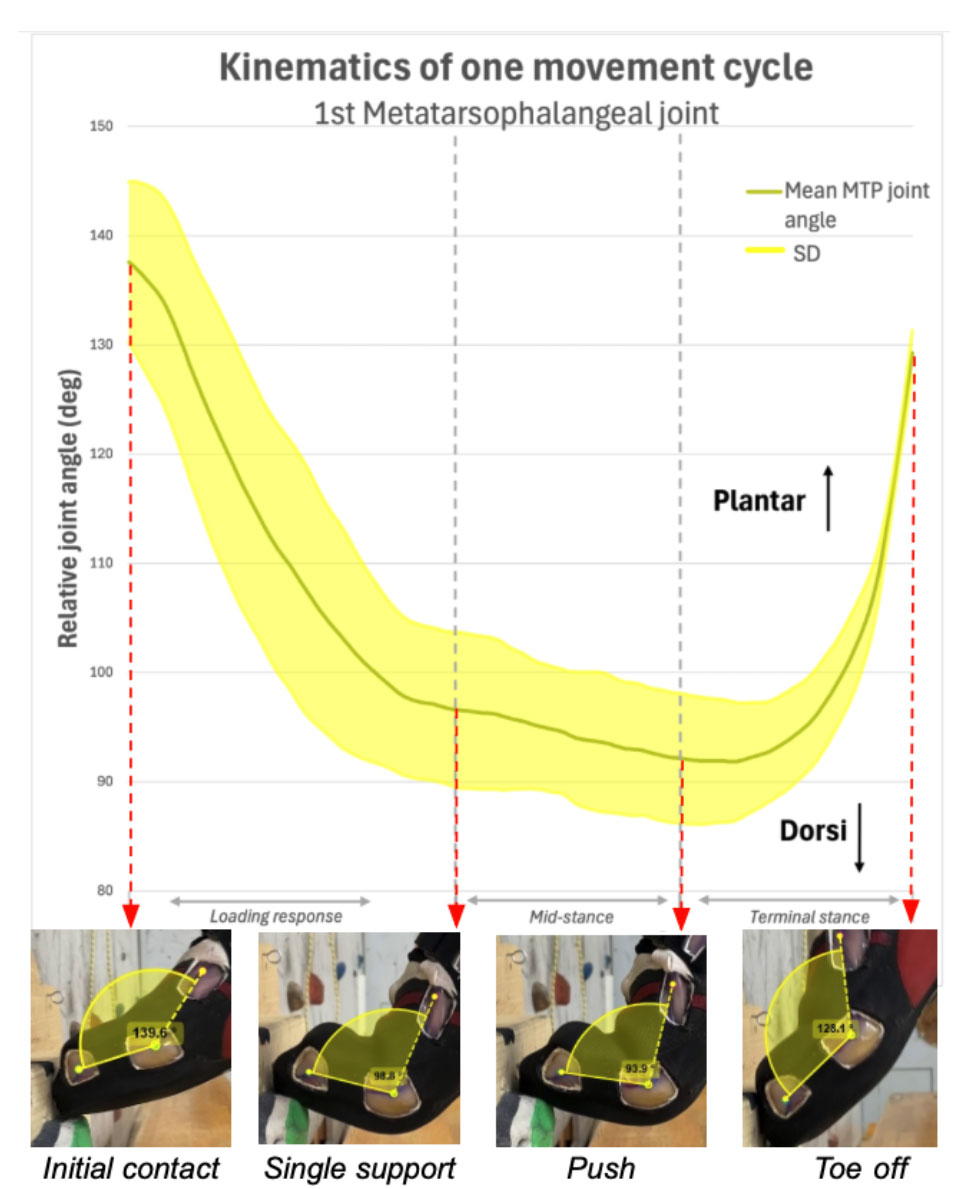 Chart and images showing relative joint angles and reaction forces over time