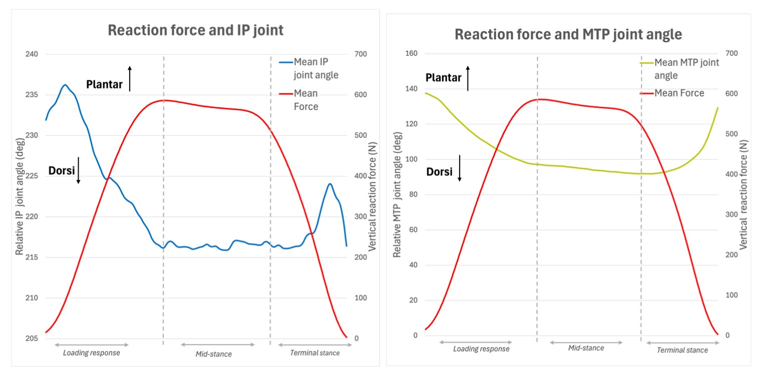 Join angles combined with force data from the experiment