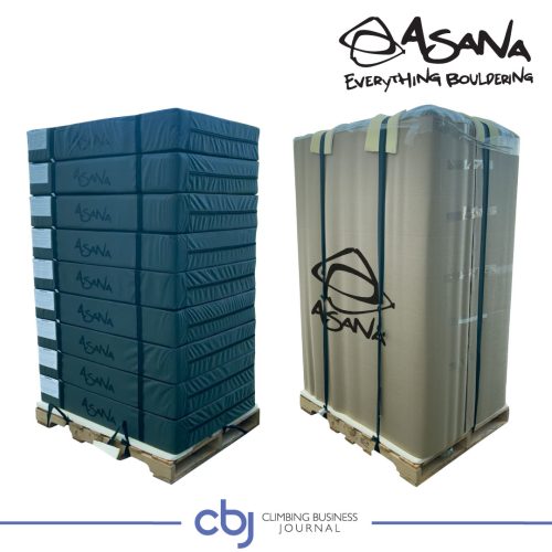 Buyer-Guide-20025-Fall-Asana-1