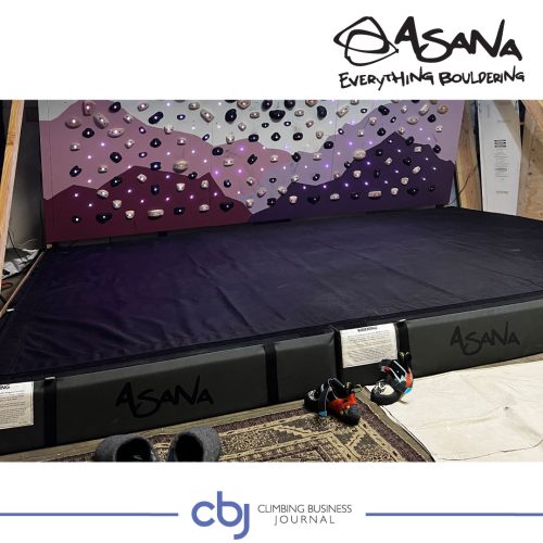 Buyer-Guide-2025-Fall-Asana-2