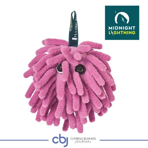 Buyer-Guide-2025-Winter-Midnight-Lightning-2